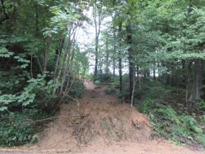 Plaz pri domačiji Murko na cesti Kamenik-Sedovec.